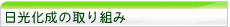���������̎��g��