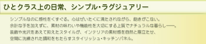 �X�^�C���b�V���L�b�`���p�l��